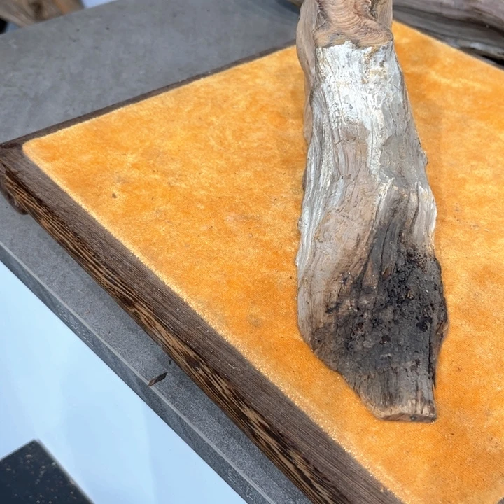 山***琅柏木崖吧的直播间我看过最搞笑