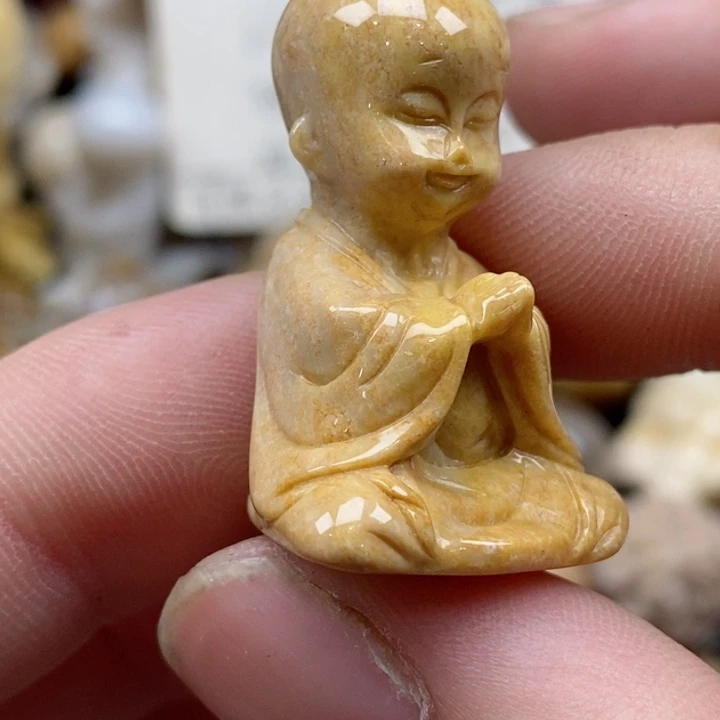 颈饰未镶嵌硅化珊瑚（珊瑚玉）小摆件