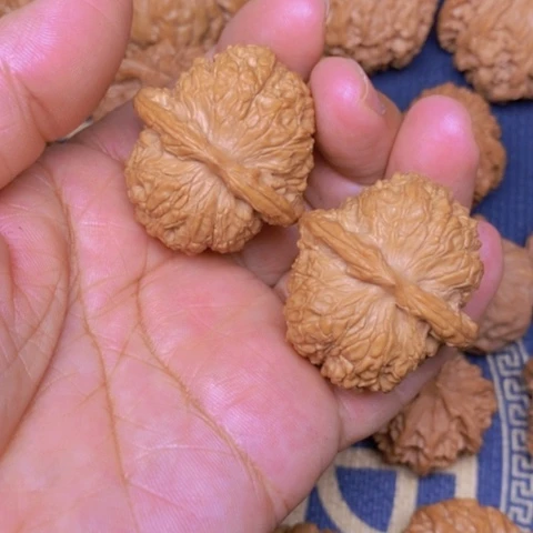 【闪购商品】文玩核桃吊坠好*血麒麟37