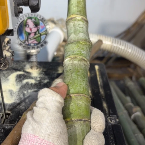 正***号实心竹竹竹竹竹竹竹竹竹