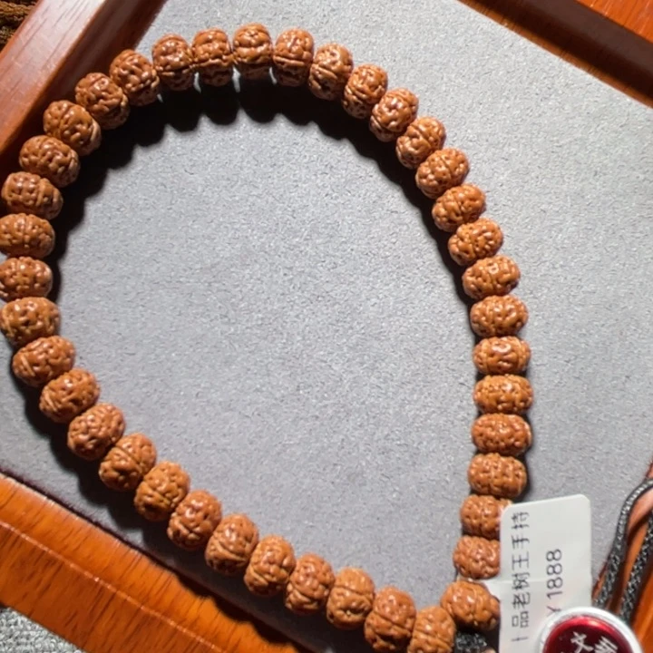 手串金刚菩提样本十品老树王手持