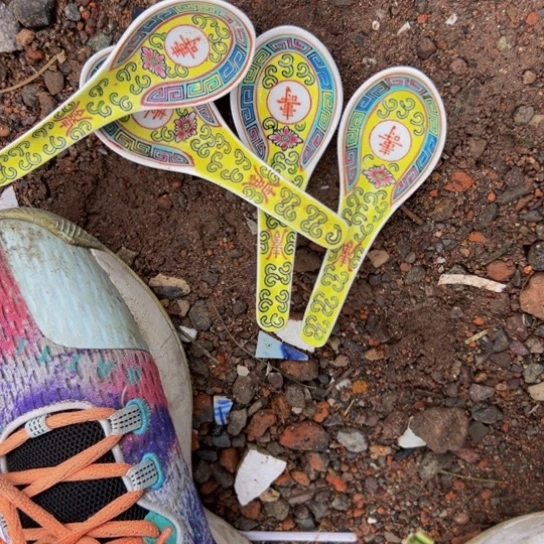 李***一核桃木/黑胡桃（胡桃木）