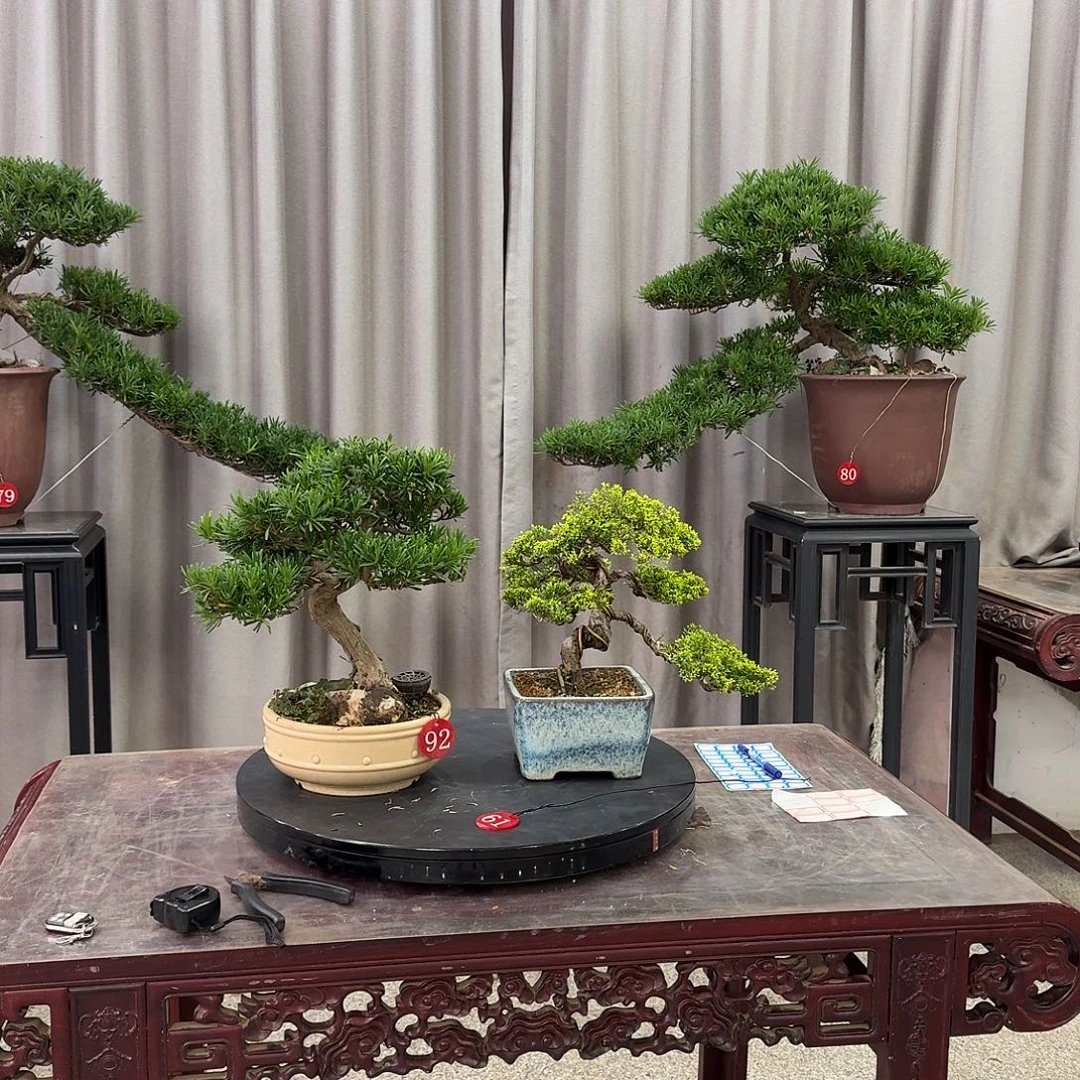 无花朵黄金的一次大的