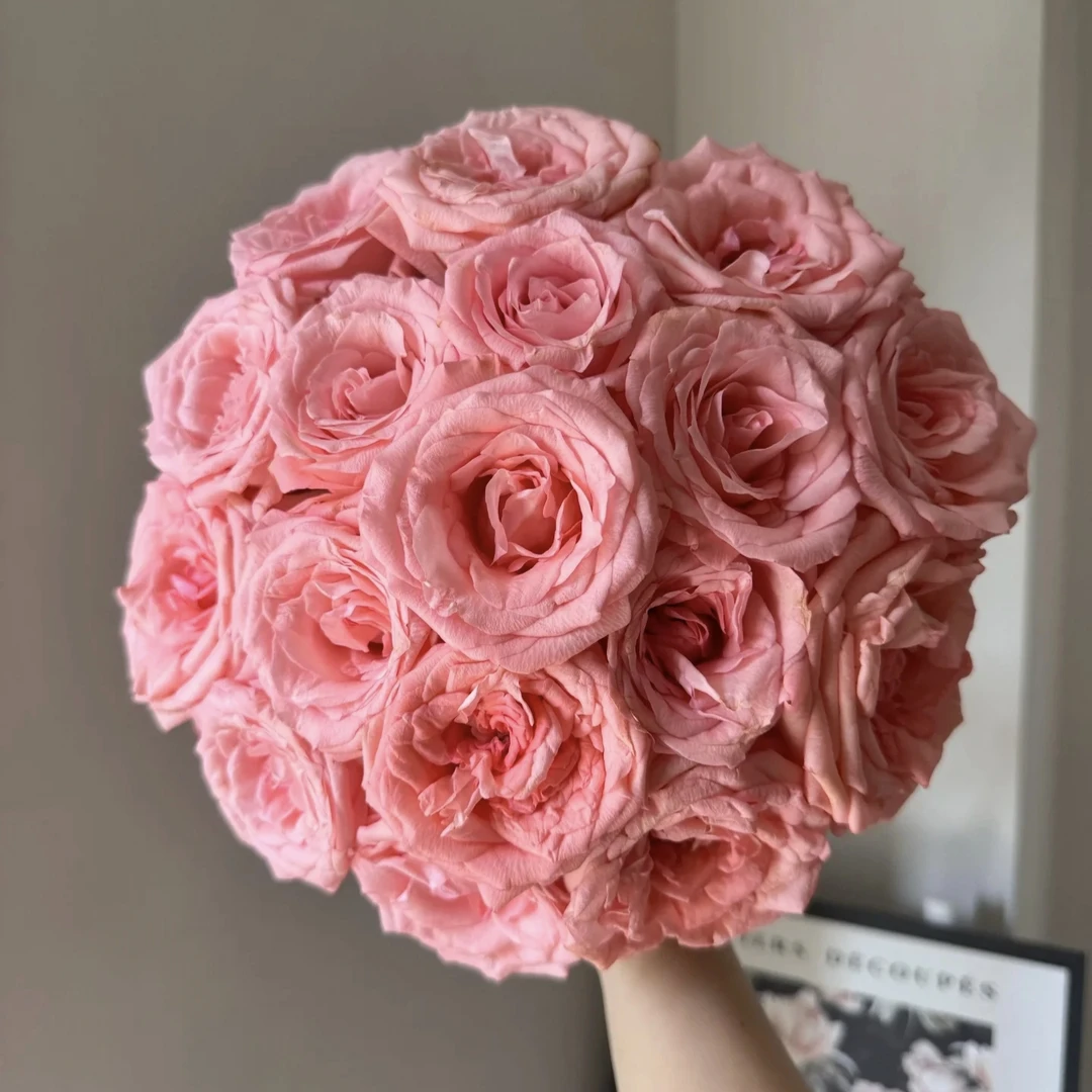 10枝戴安娜+10枝粉钻康乃馨+2枝黑心向日葵+5枝黄莺草