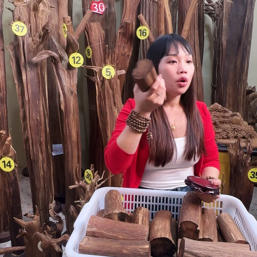 沉香沉香碎屑天然沉香原材料香料熏料