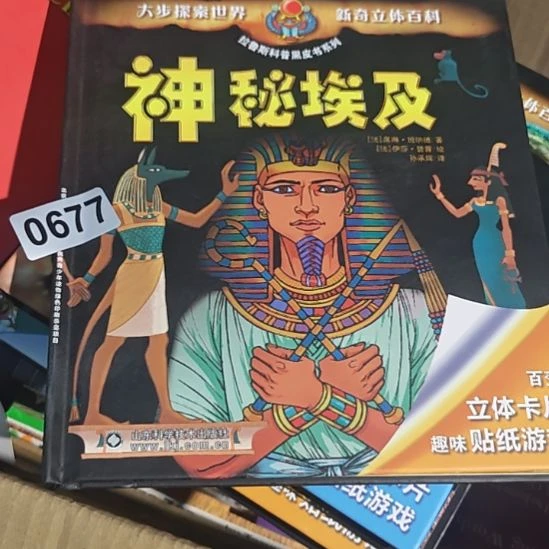 神秘埃及677号库存书