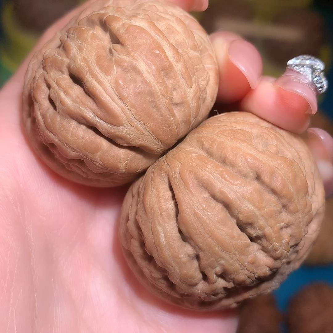 文玩核桃把件42全品闷尖霸王龙