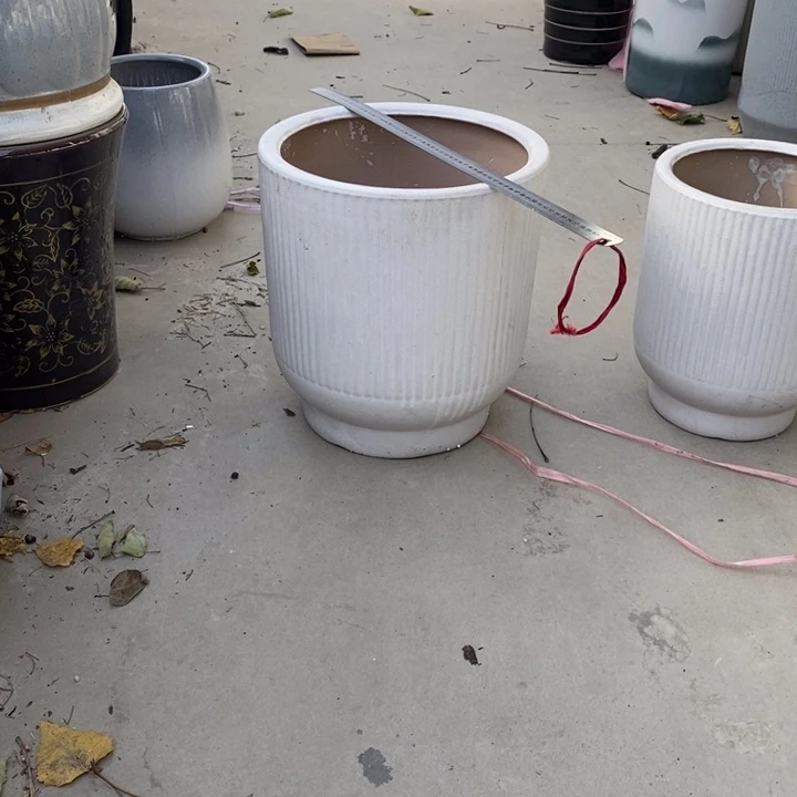 低腰高脚竖条纹白色大号