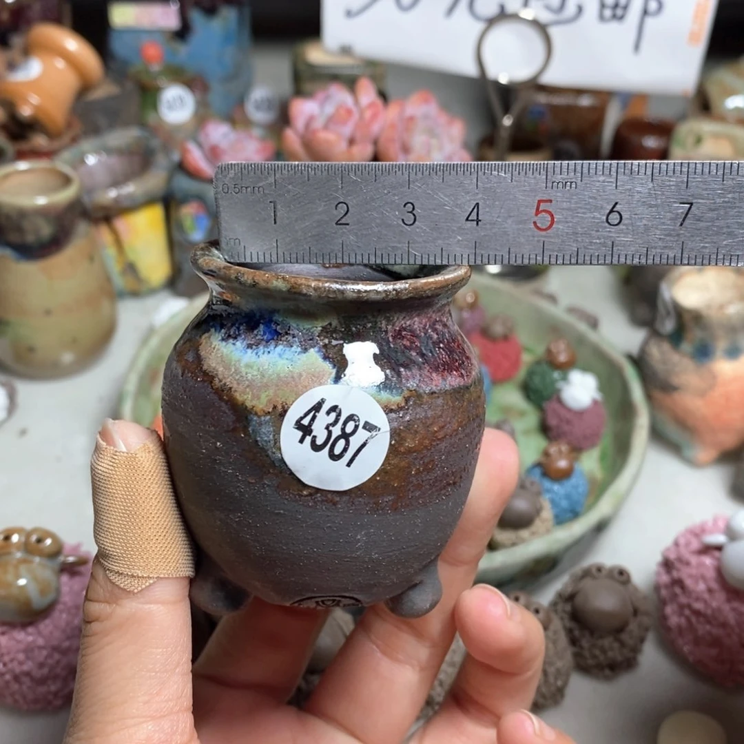 拍5送一个小礼物