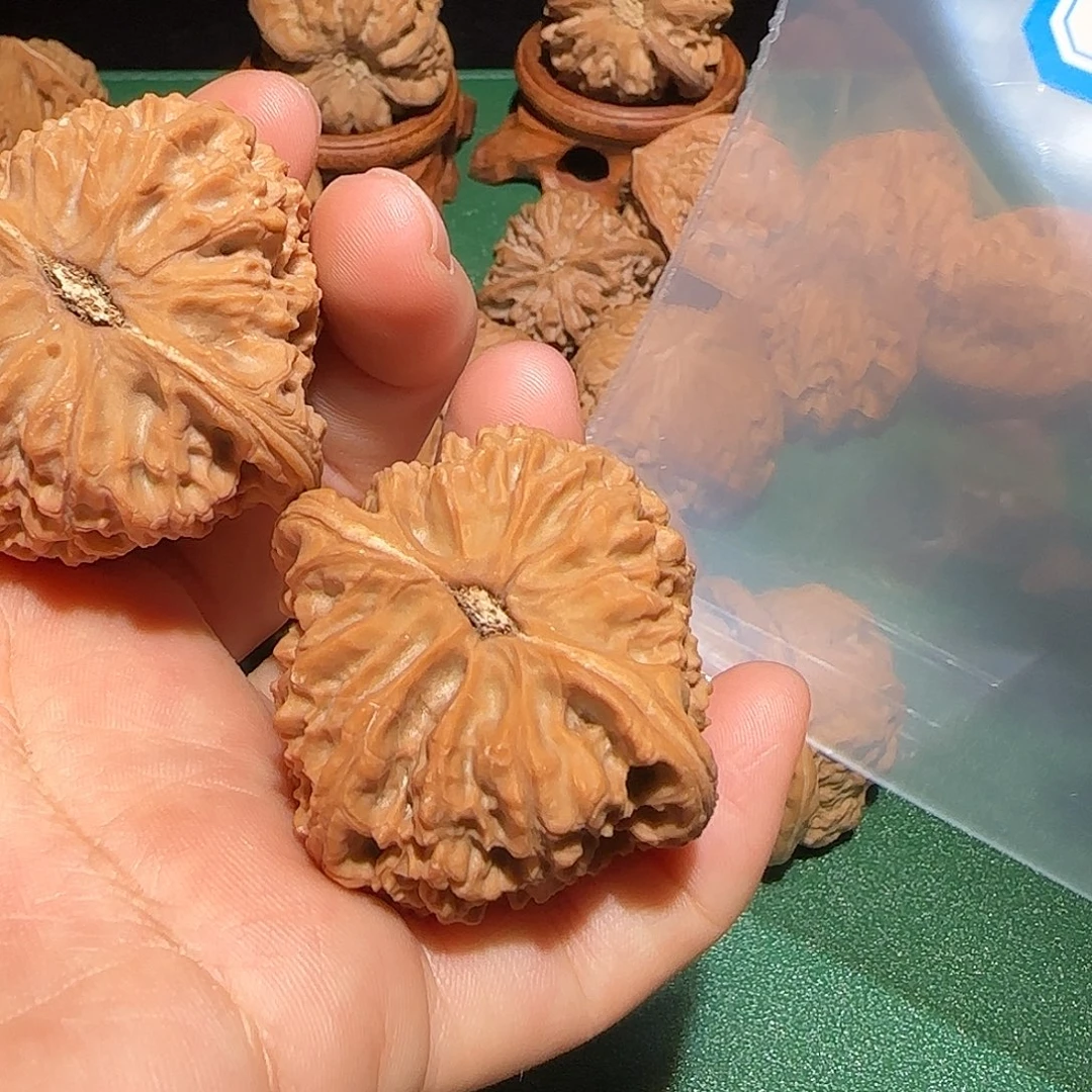 文玩核桃把件飞飞飞飞飞飞