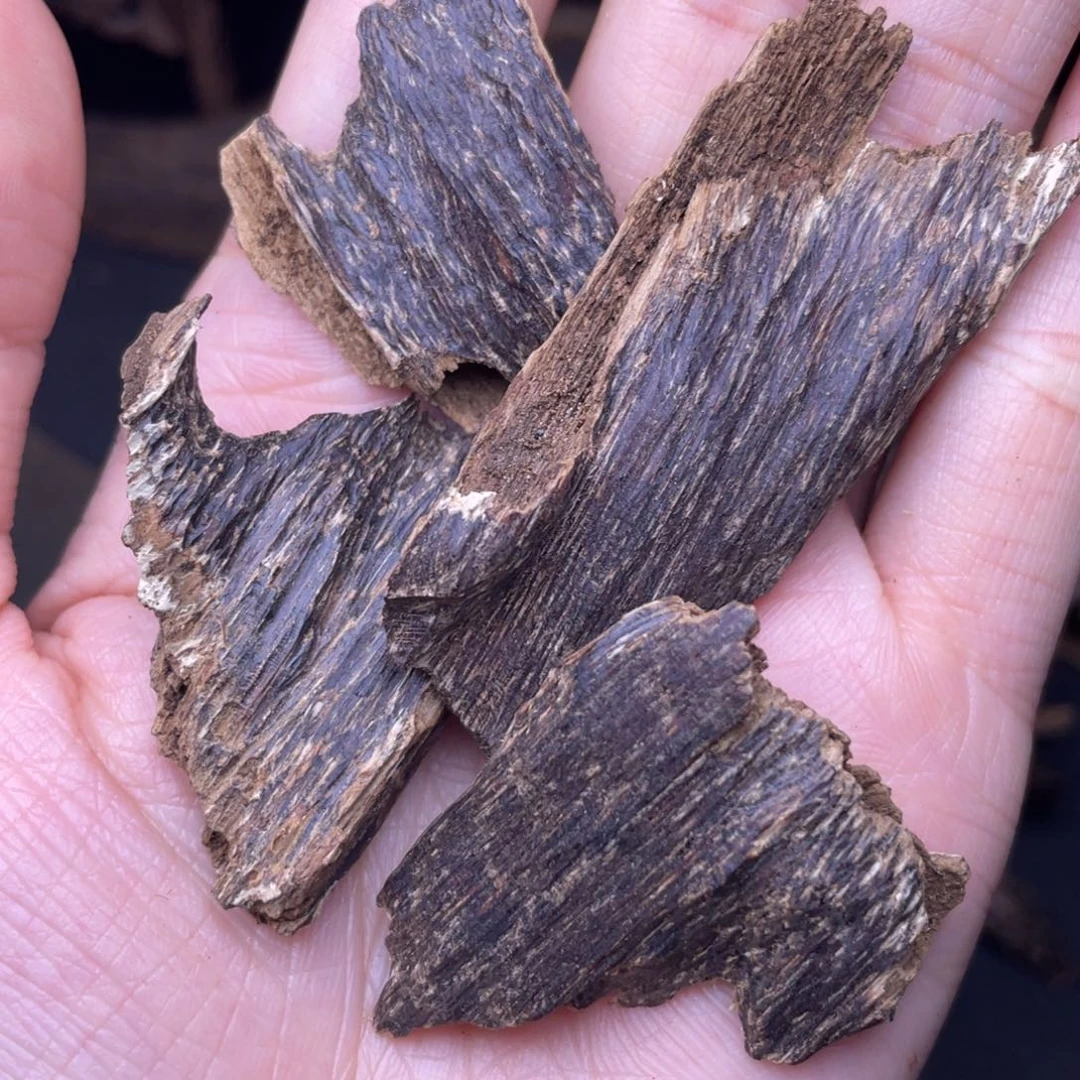 香榧木海南临高黑油虫漏10克