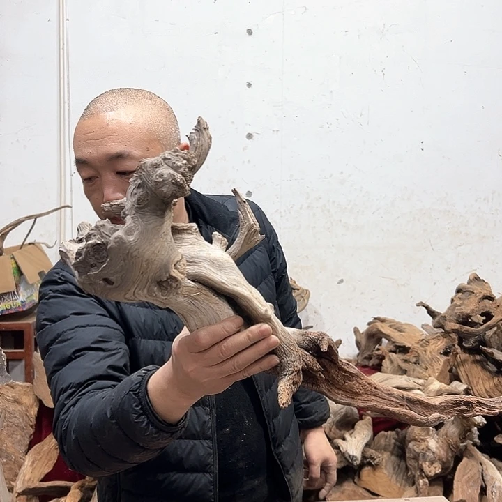 柏木小**跑我们的生活是以自己为中心