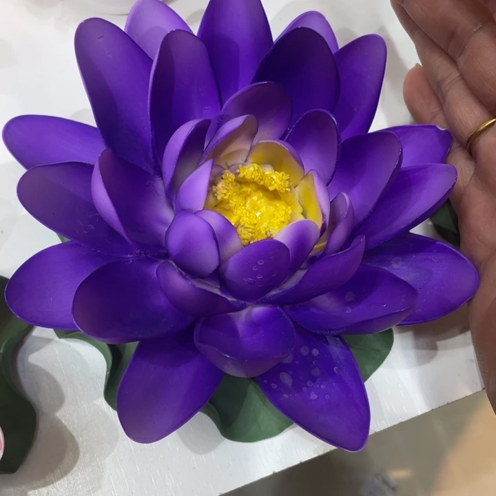 瓷片8888885858555665666222