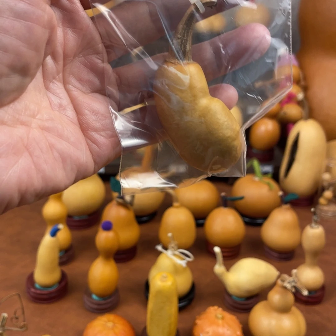 @***^葫芦哈哈哈哈哈哈哈哈