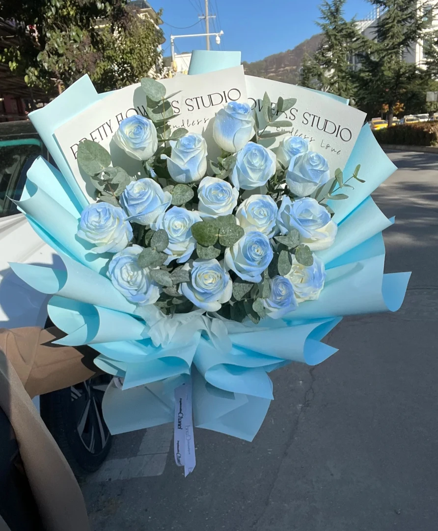 T【紫霞+洛神+碎冰蓝组合】一单京东顺丰送货上门偏远地区发空运