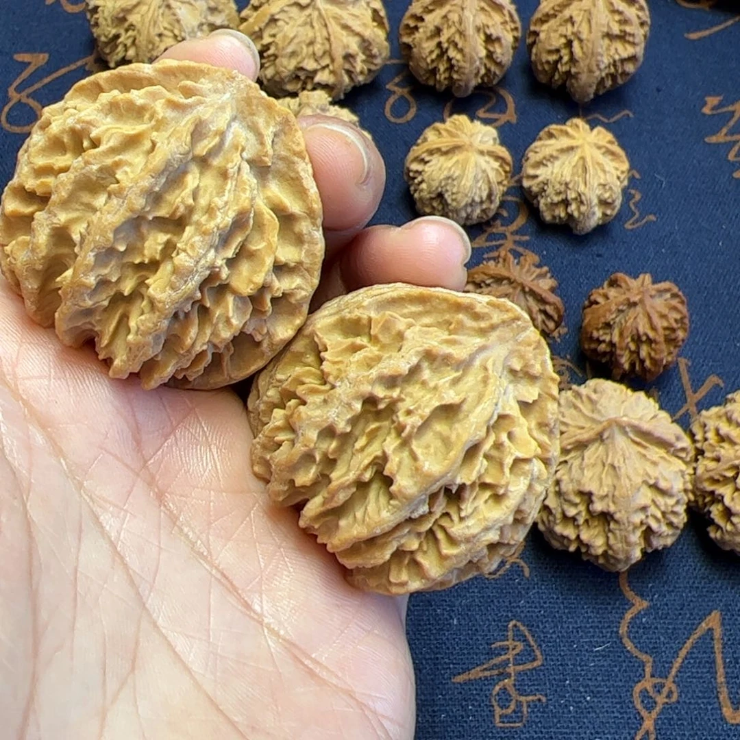 文玩核桃把件秦岭野生植物核桃