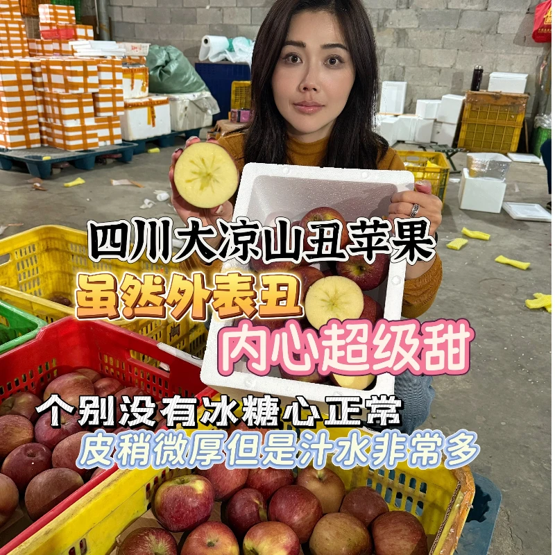 【慧姐姐专属】四川大凉山盐源丑苹果广西仓发货
