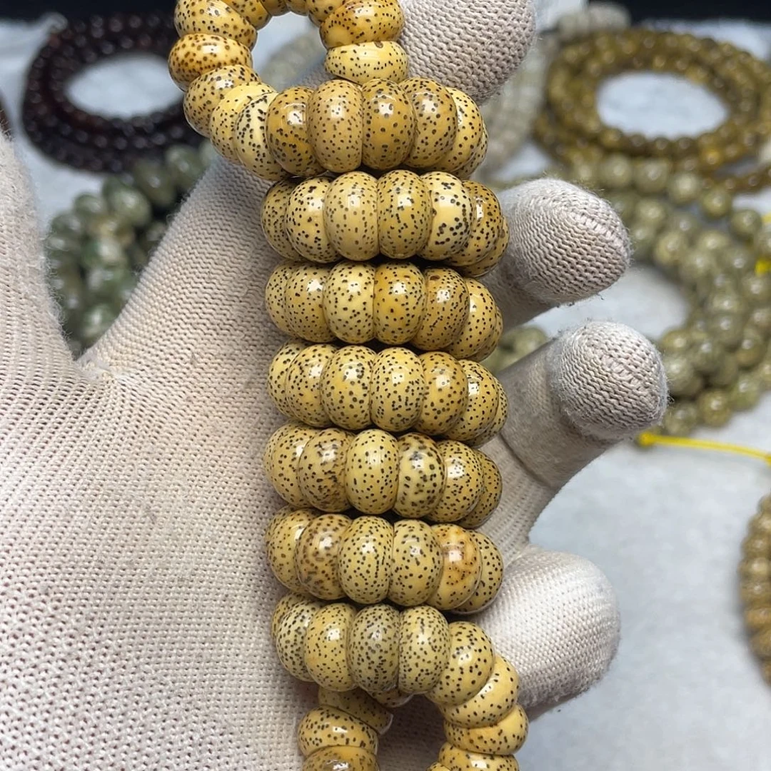 吊坠星月菩提12尺寸，陈籽大肠，带备籽