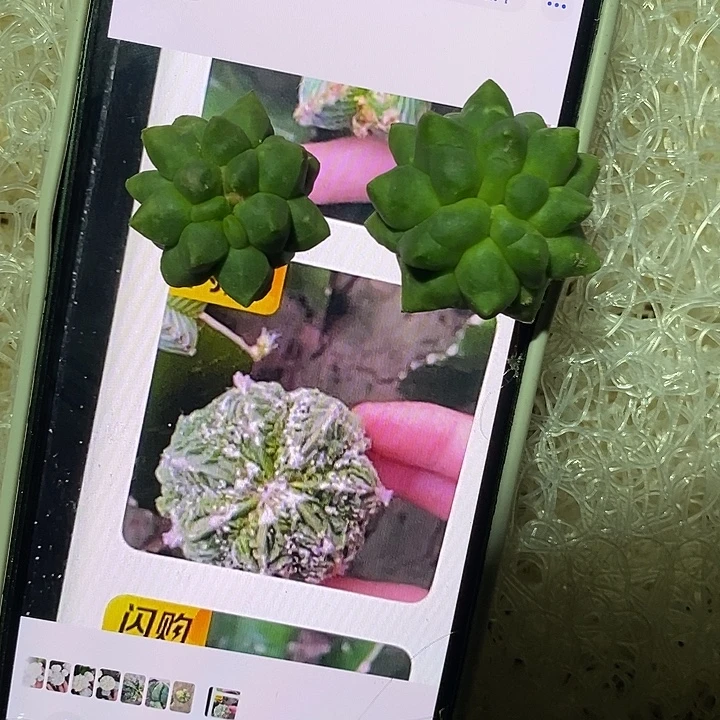 徳***天哈哈哈哈哈哈哈哈哈