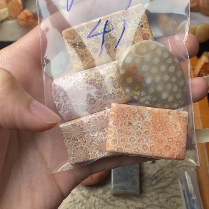 扶***卡颈饰未镶嵌硅化珊瑚（珊瑚玉）