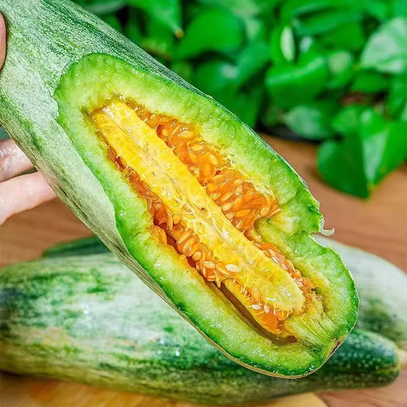 头茬羊角蜜甜瓜潍坊生鲜现摘现发味道香甜脆甜羊角蜜