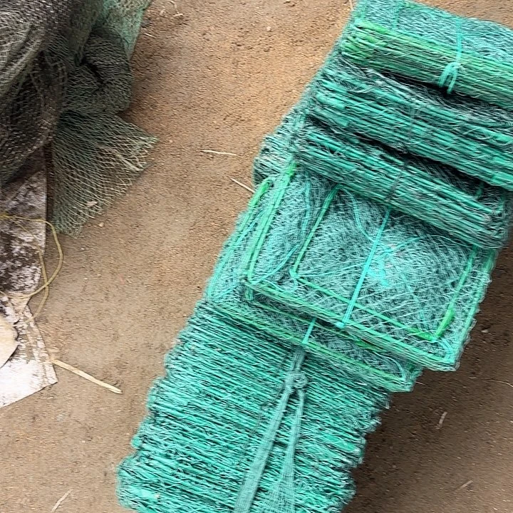 孤***独螃蟹鱼1555444555588