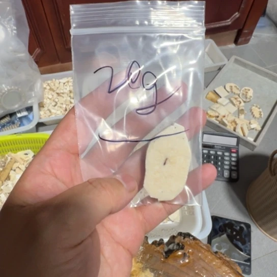 未镶嵌琥珀裸石特价处理