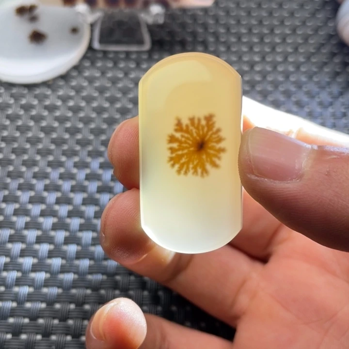 未镶嵌颈饰玛瑙/玉髓隋*
