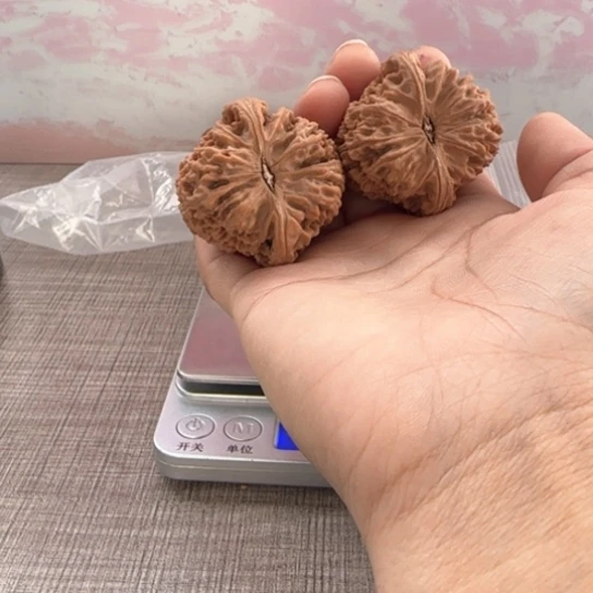 桃核吊坠杰****长核桃核桃
