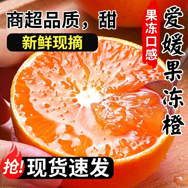 四川爱媛38号果冻橙新鲜采摘汁水充足酸甜爆汁现摘现发新鲜水果