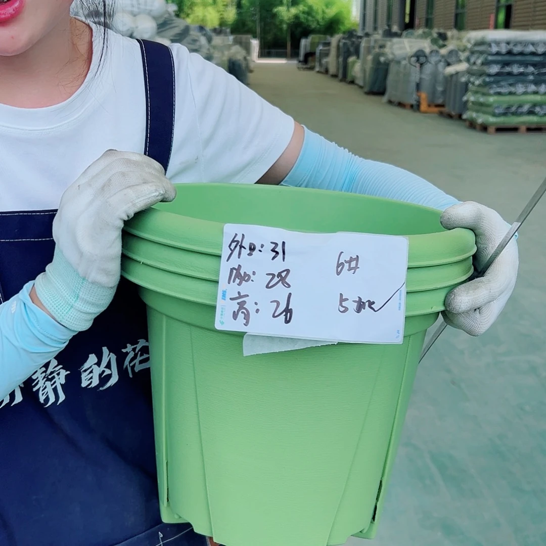 青山盆6#果绿5个无拖