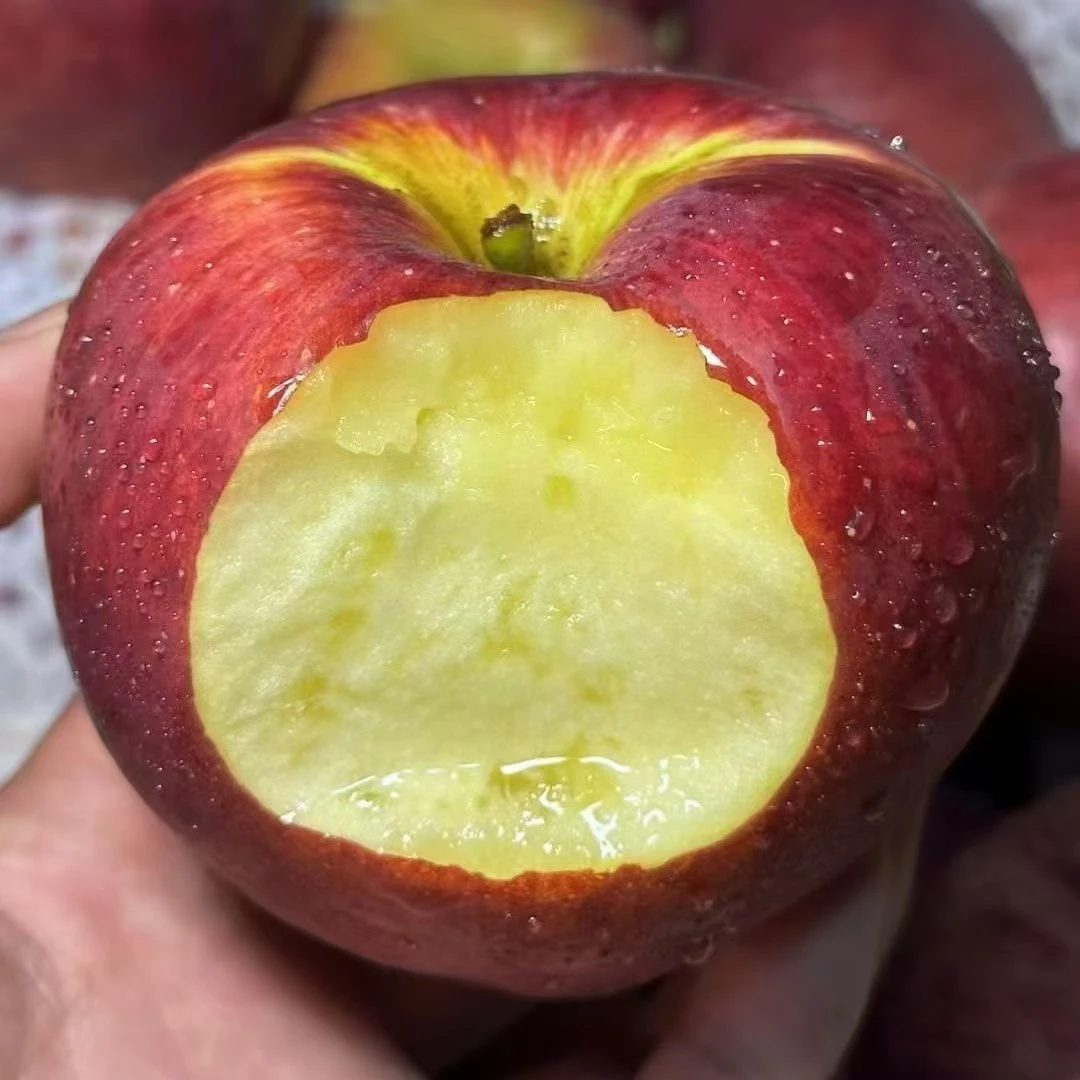 昭通晚熟糖心丑苹果含箱子重量5斤.10斤（新鲜摘果发货）