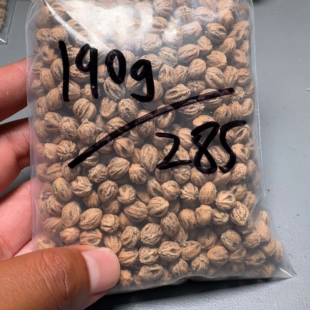 吊坠柏香籽/百香籽?*沫