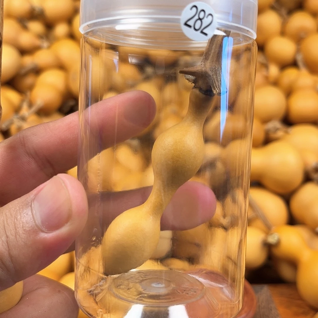 一葫芦葫芦葫芦葫芦282