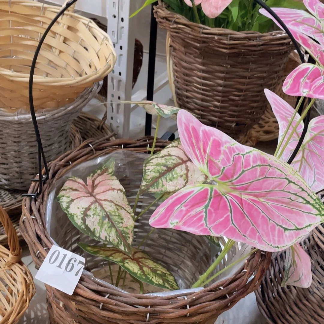 鸟***飞直播专属孤品微瑕链接167