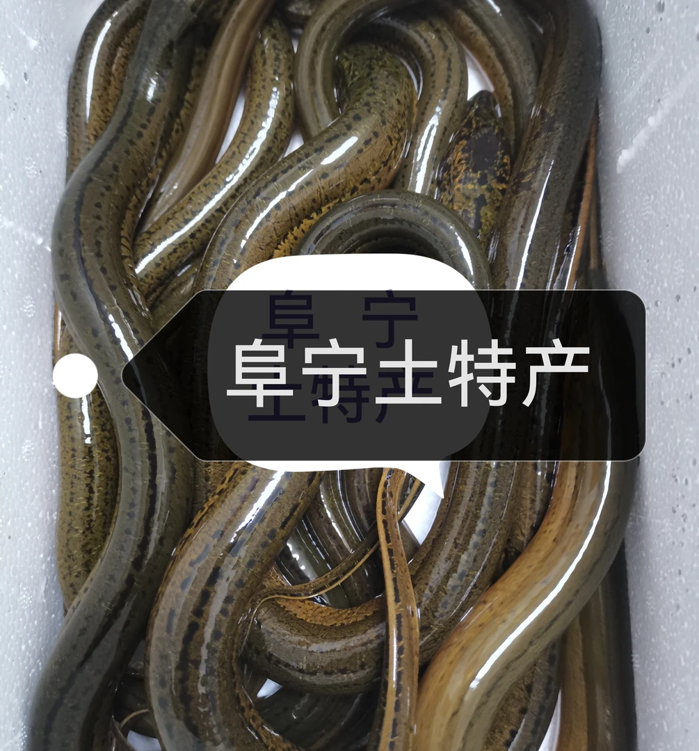 阜宁土特产大礼包顺丰包邮