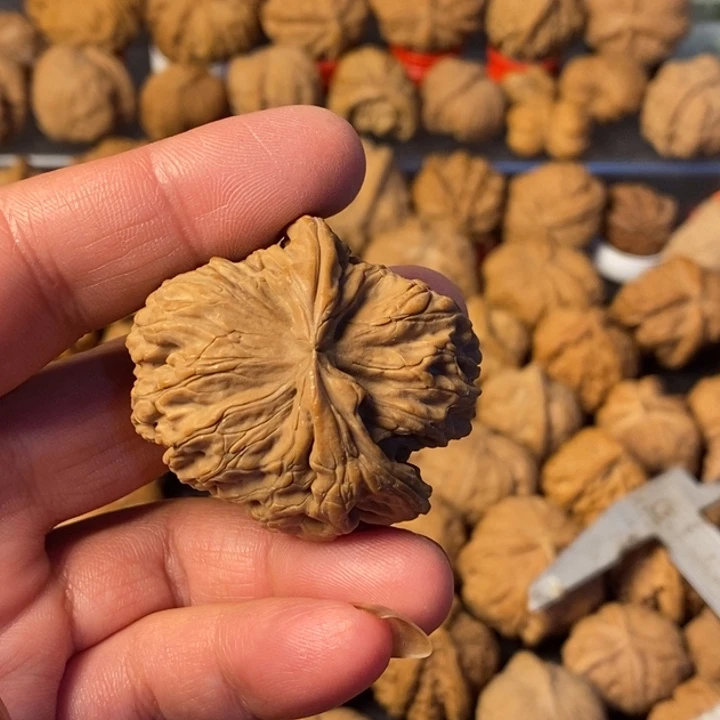 旋***月大叶紫檀（黑酸枝木类）