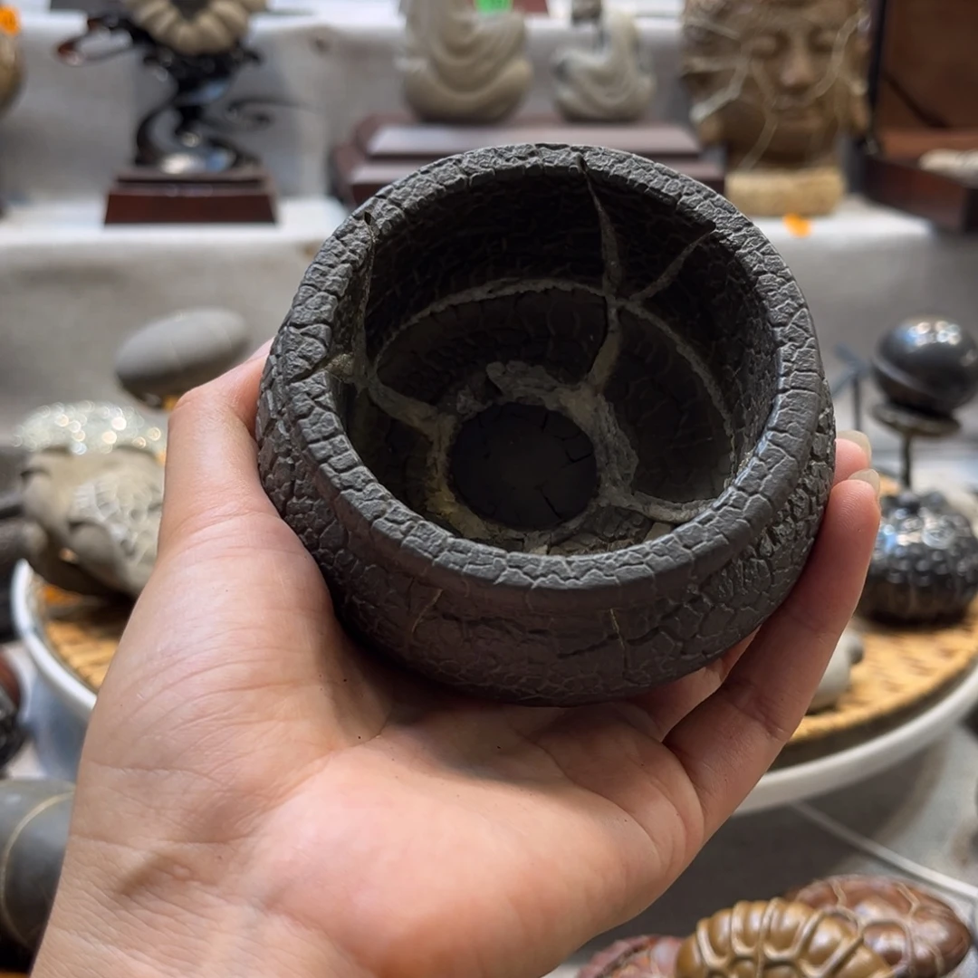 九***客石材龟纹石小精品