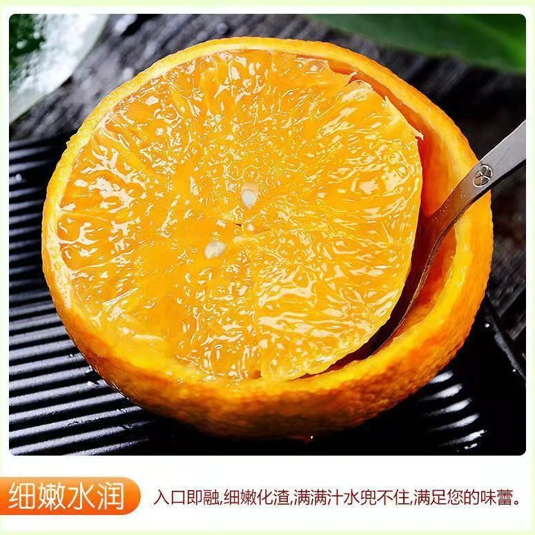 正宗四川爱媛38号果冻橙新鲜无籽甜润当季水果包邮