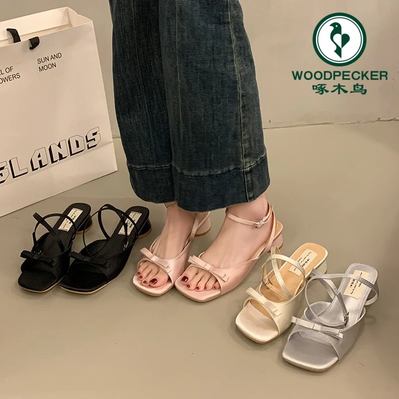 啄木鸟凉拖鞋女夏季外穿2025新款配裙子仙女风法式气质粗跟凉鞋女
