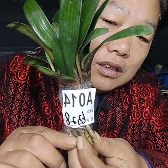 蓝***天完全开放0000000000