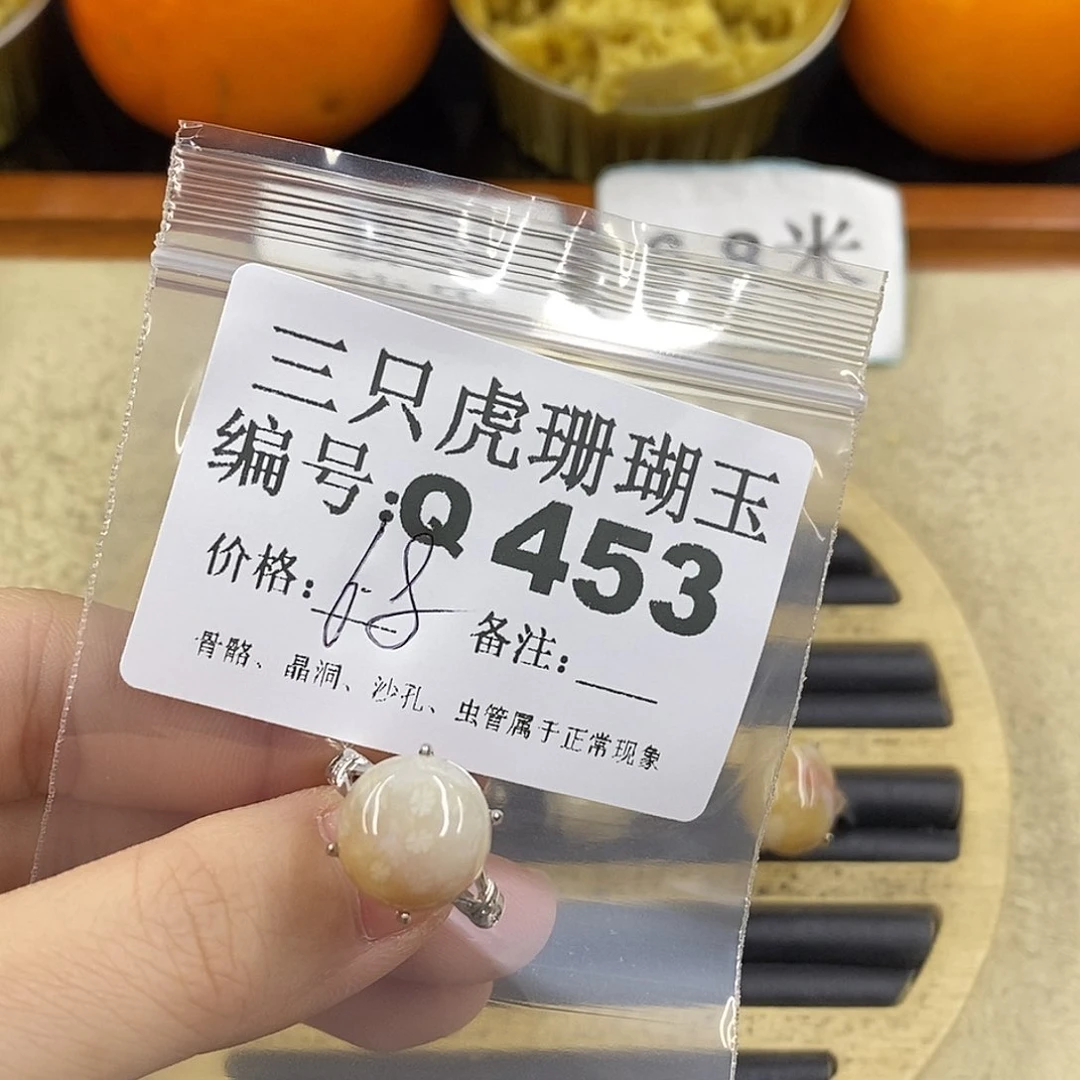 硅化珊瑚（珊瑚玉）1未镶嵌O*