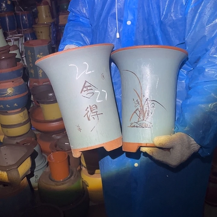 紫砂紫砂花盆和一条