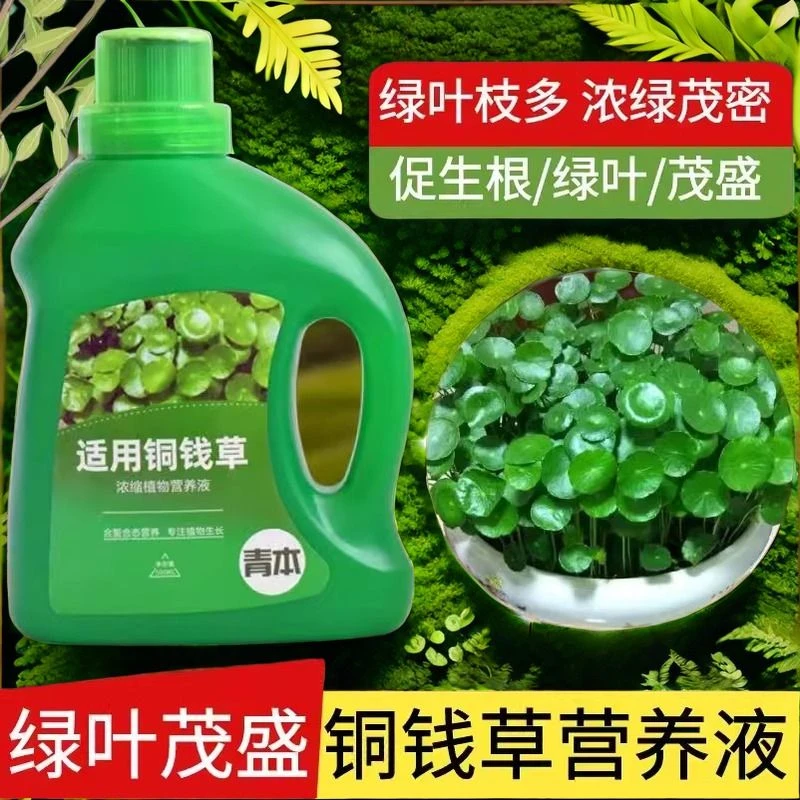 铜钱草专用肥料养护营养液家庭园艺四季通用复合肥绿植促花养花