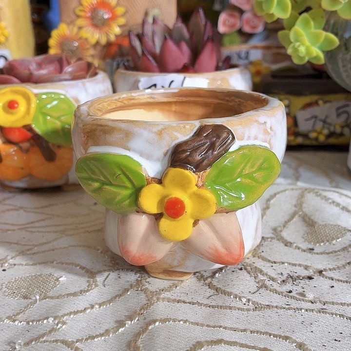 多肉花盆，满15包邮