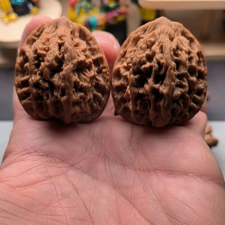 核桃老树高桩麦穗虎头41尺46高