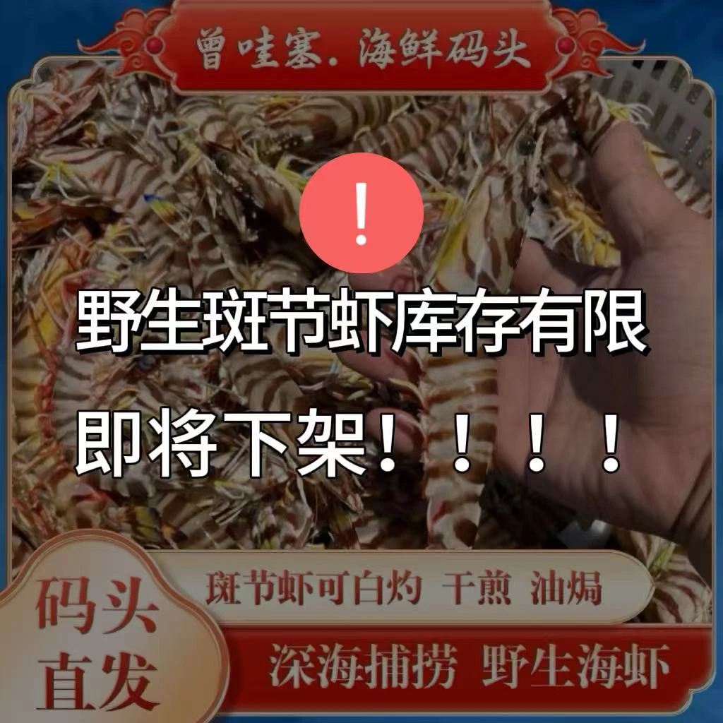 【码头价斑节虾】汕尾本港码头野生斑节虾深海现捕8-10条/盒发2盒海鲜