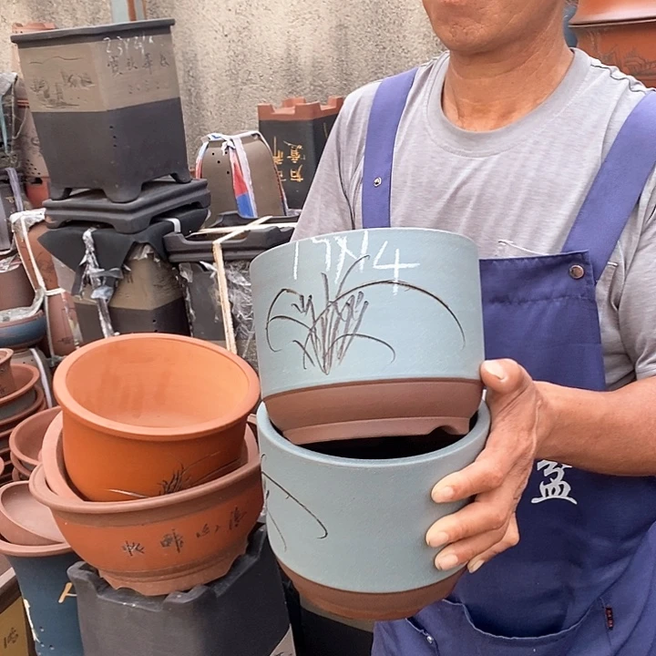 紫砂花盆紫砂花盆盆栽植物