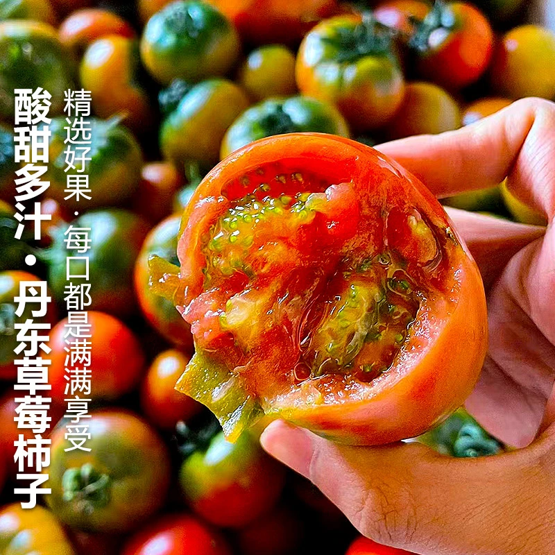 铁皮草莓柿子500g