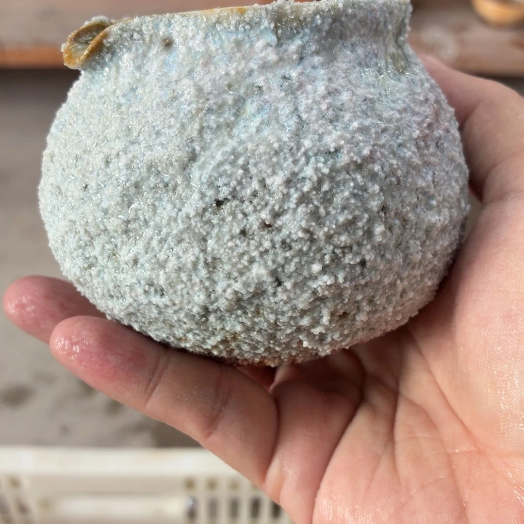 陶园柴烧精品高货111
